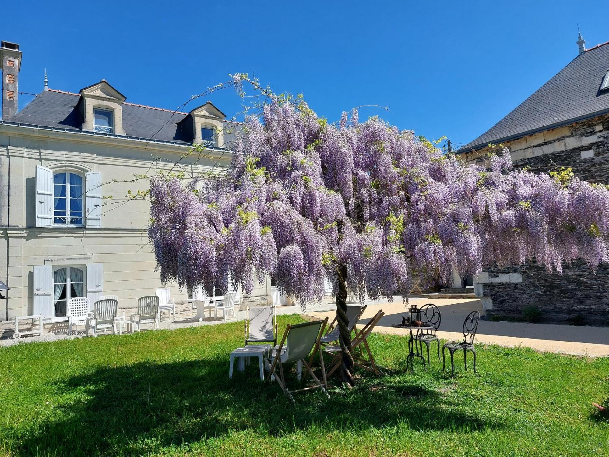 La Bohal' Loire Apartment La Bohalle Екстериор снимка